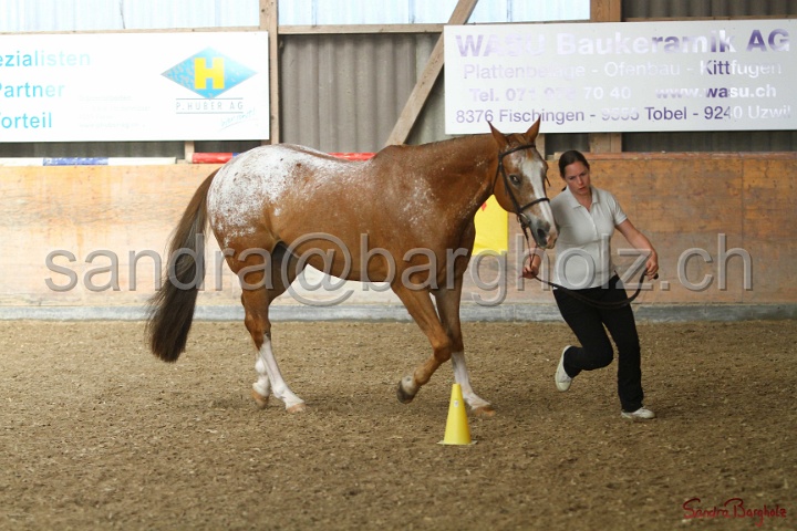 24-ApHC HIH_099.jpg